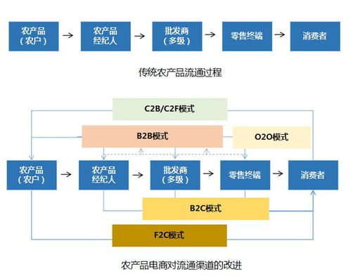 2020年農(nóng)產(chǎn)品電商 五大發(fā)展趨勢與電子商務(wù)服務(wù)深度融合